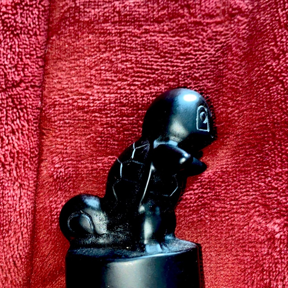 Obsidian Pokémon Squirtle